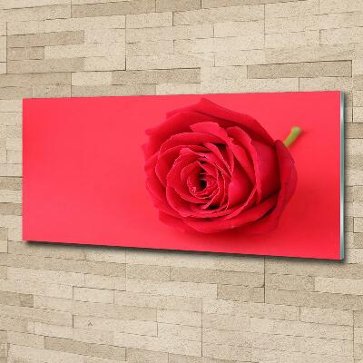 Glass wall art large Red rose