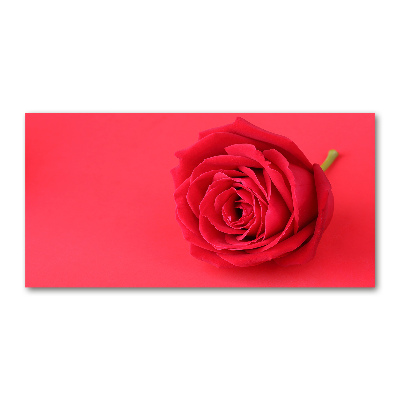 Glass wall art large Red rose