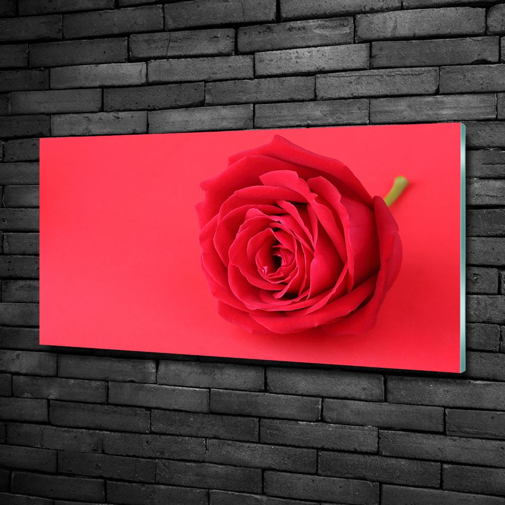 Glass wall art large Red rose