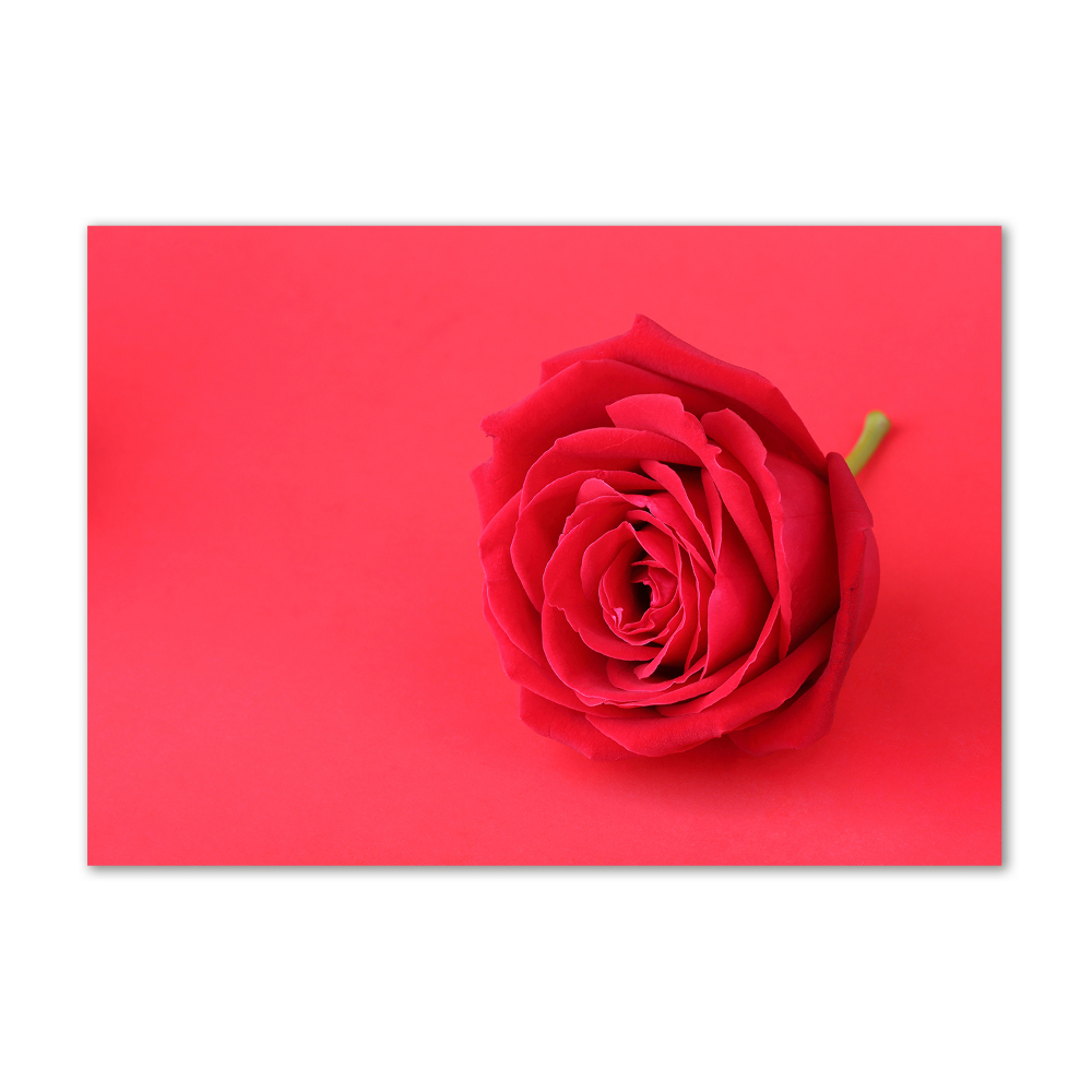 Glass wall art large Red rose