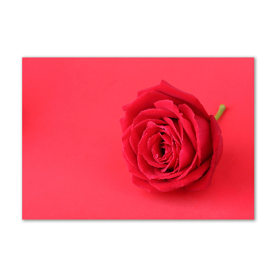 Glass wall art large Red rose