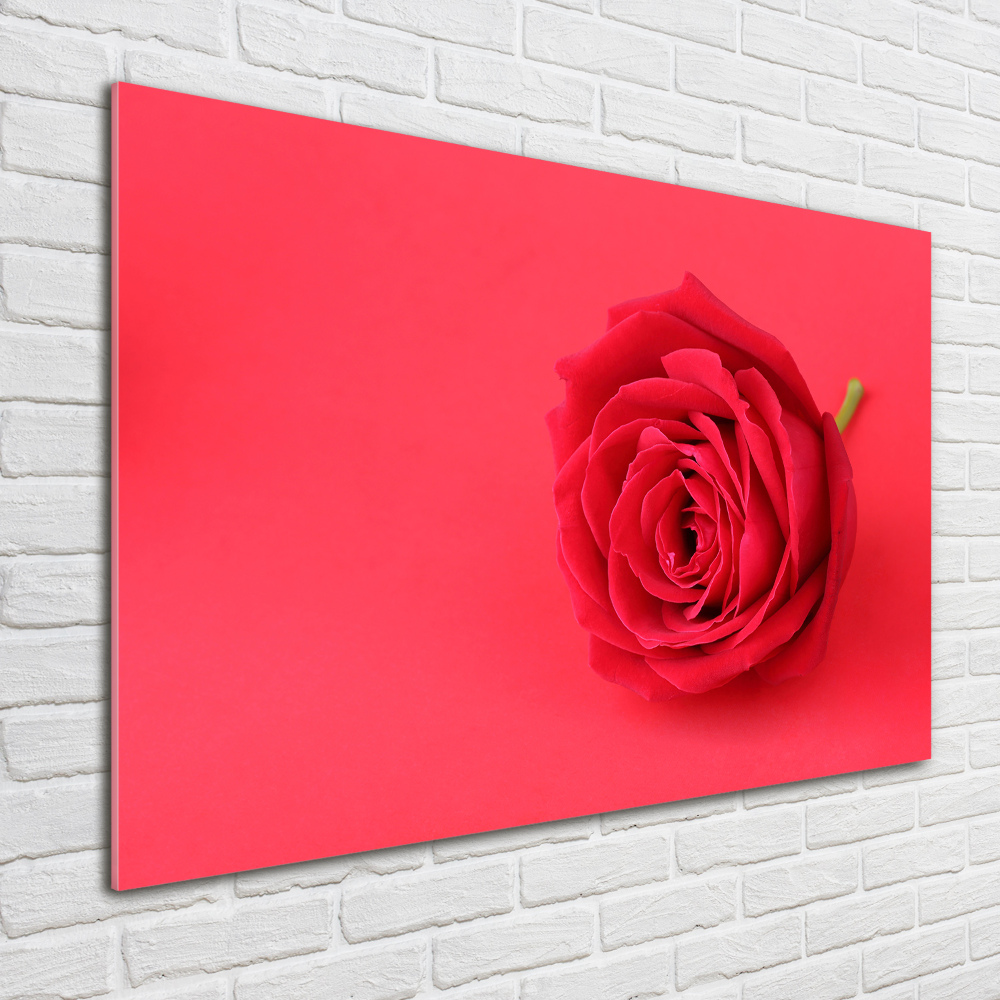 Glass wall art large Red rose