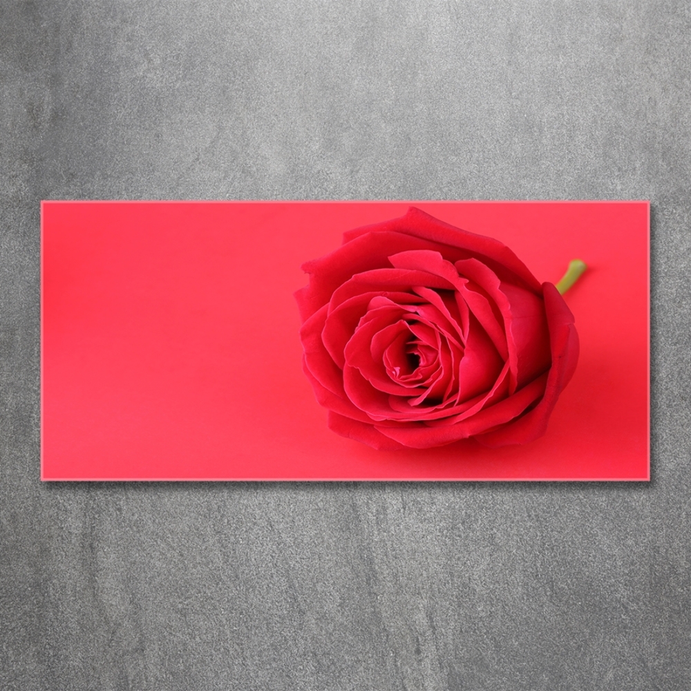 Glass wall art large Red rose