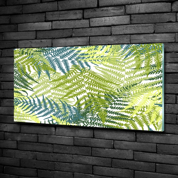 Wall art on glass Fern pattern