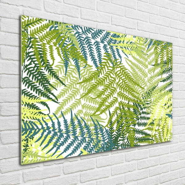 Wall art on glass Fern pattern