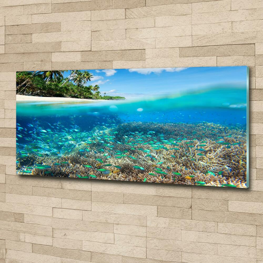 Glass picture print Coral reef