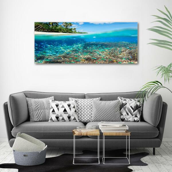 Glass picture print Coral reef