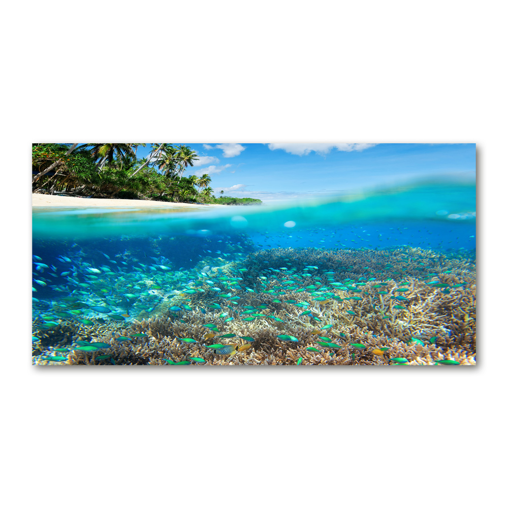 Glass picture print Coral reef