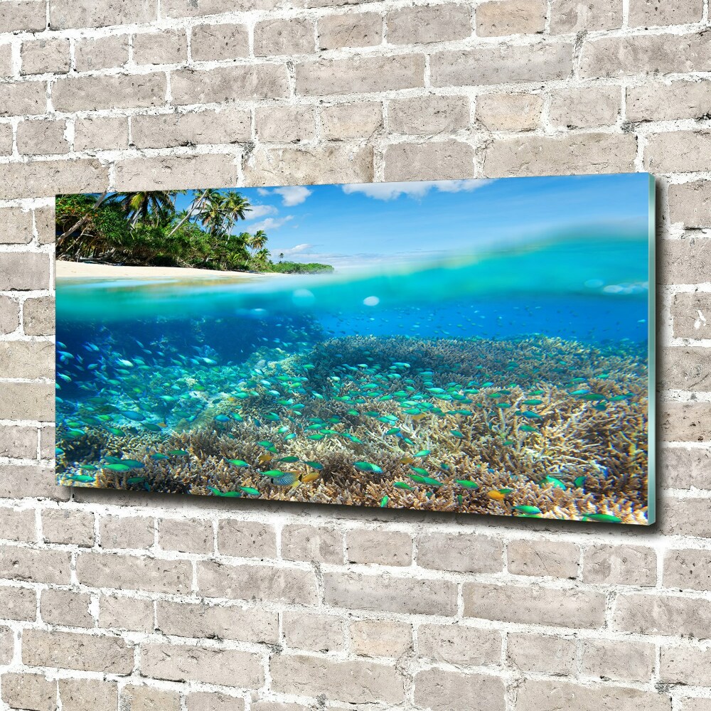 Glass picture print Coral reef