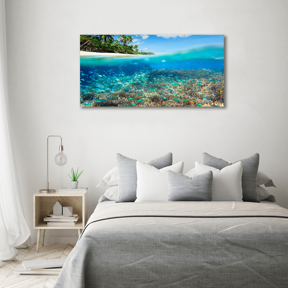 Glass picture print Coral reef