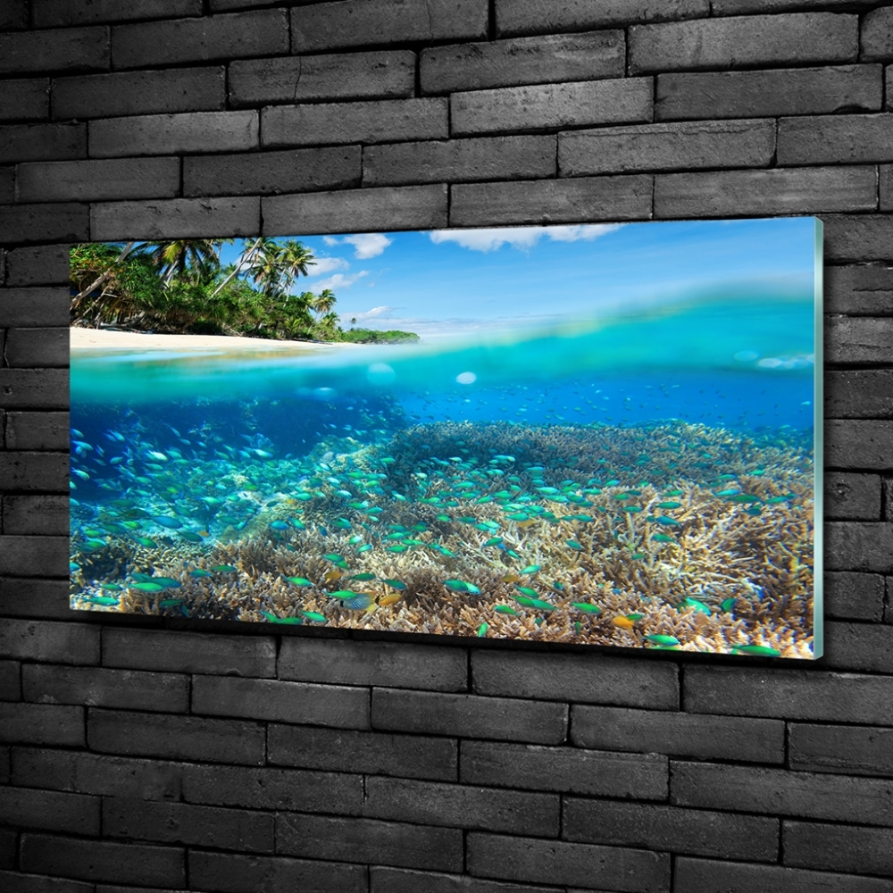 Glass picture print Coral reef