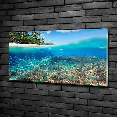 Glass picture print Coral reef