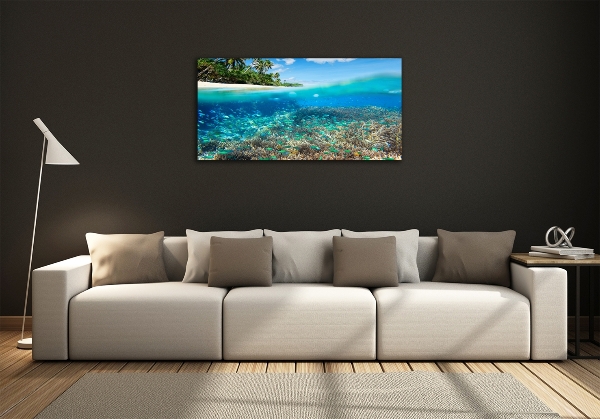 Glass picture print Coral reef