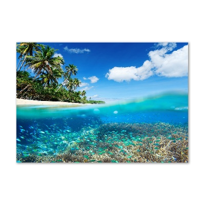 Glass picture print Coral reef