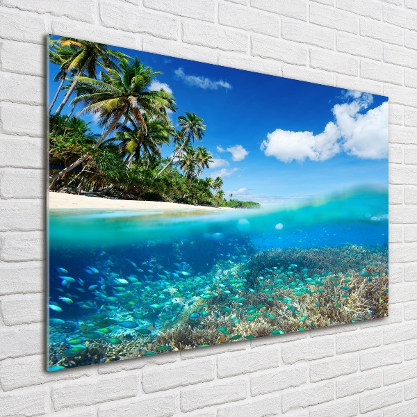 Glass picture print Coral reef