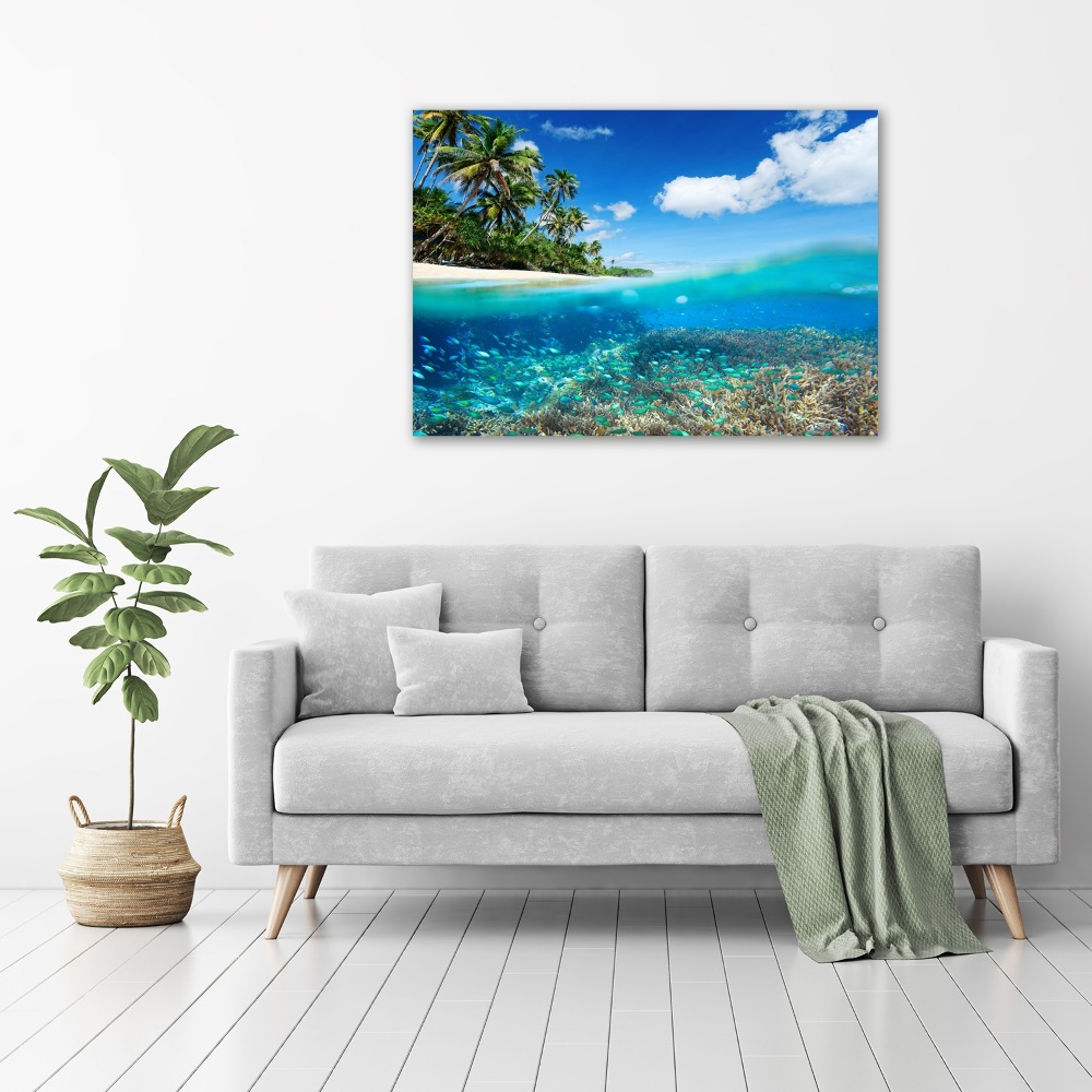 Glass picture print Coral reef