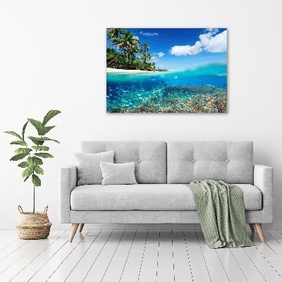 Glass picture print Coral reef