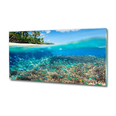 Glass picture print Coral reef