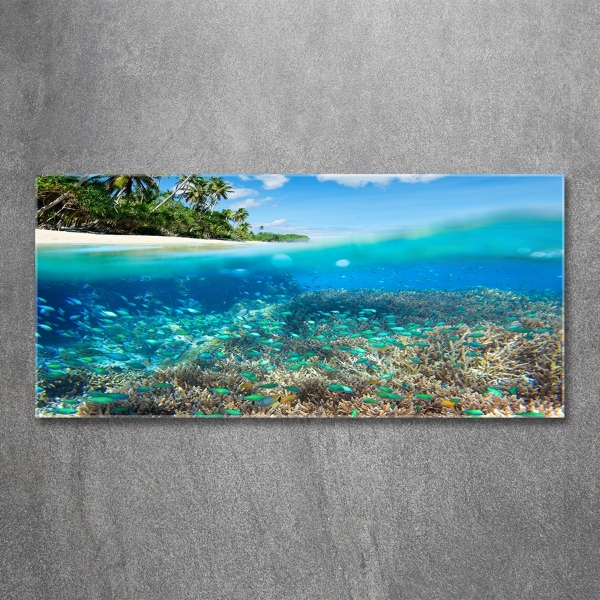 Glass picture print Coral reef