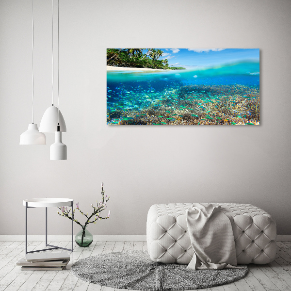 Glass picture print Coral reef