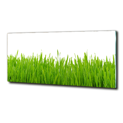 Glass picture wall art Grass