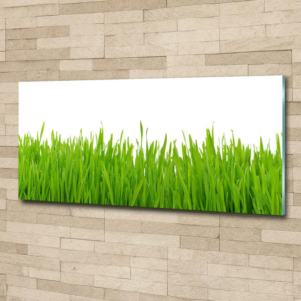 Glass picture wall art Grass