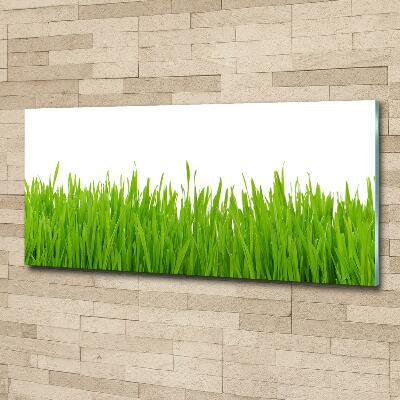 Glass picture wall art Grass