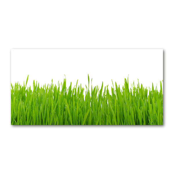 Glass picture wall art Grass