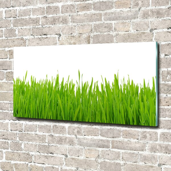 Glass picture wall art Grass