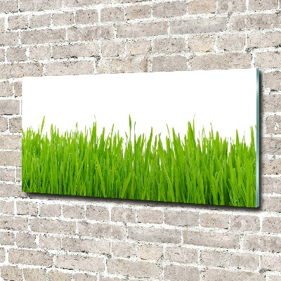 Glass picture wall art Grass