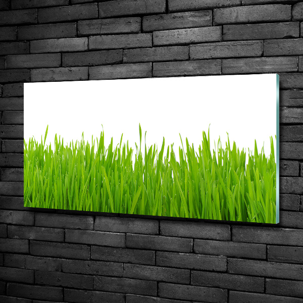 Glass picture wall art Grass