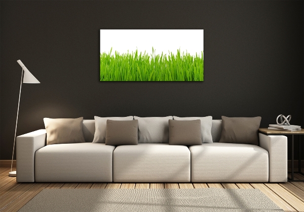 Glass picture wall art Grass