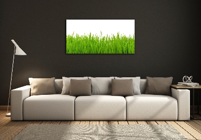 Glass picture wall art Grass