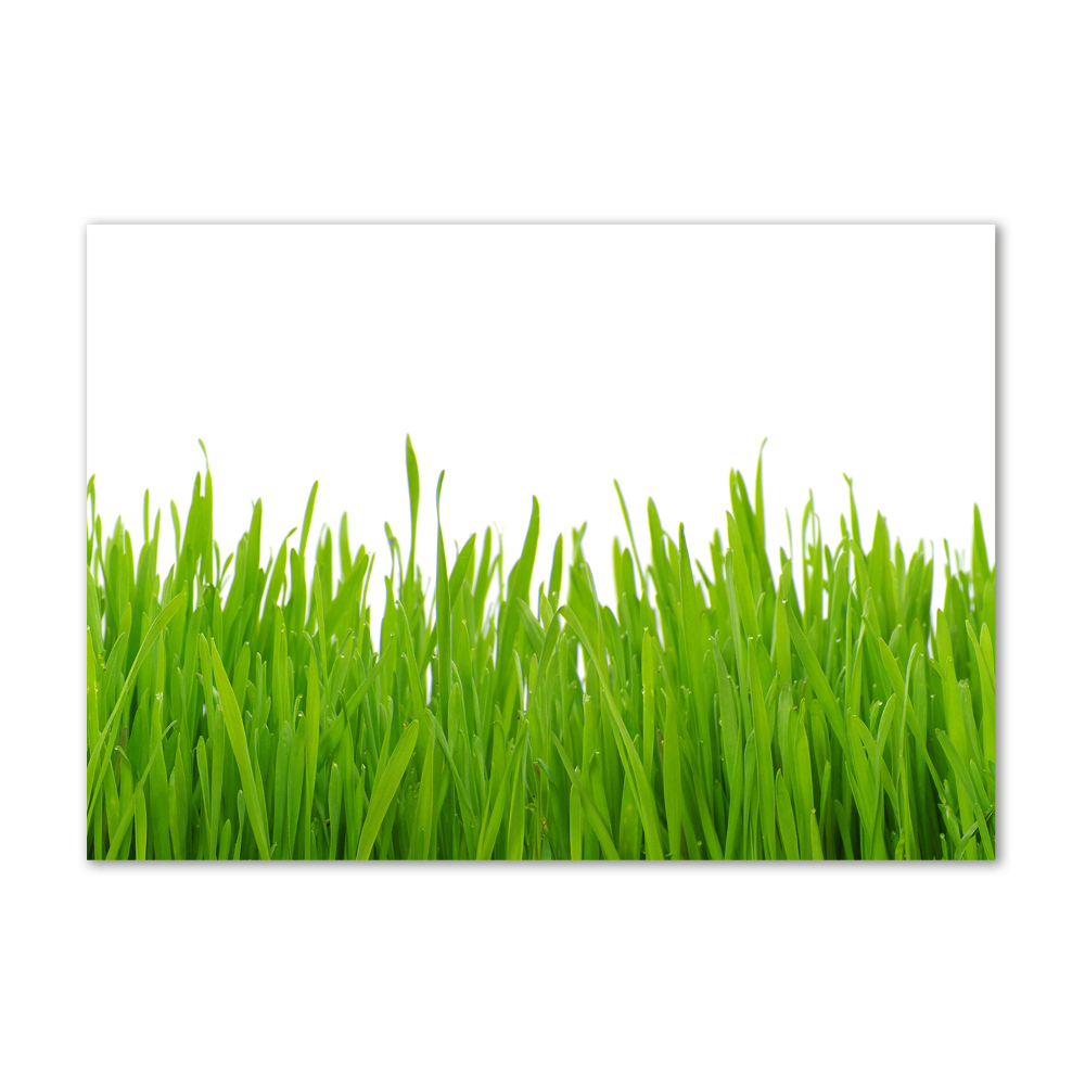 Glass picture wall art Grass