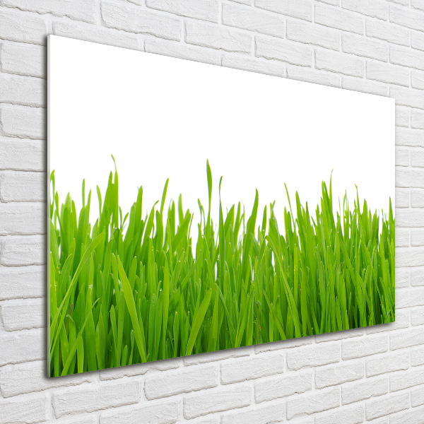 Glass picture wall art Grass