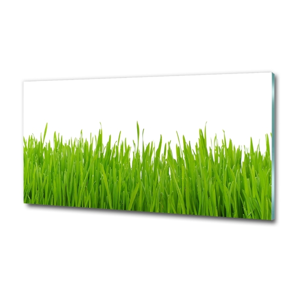 Glass picture wall art Grass