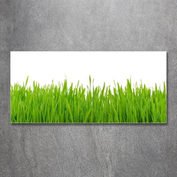 Glass picture wall art Grass