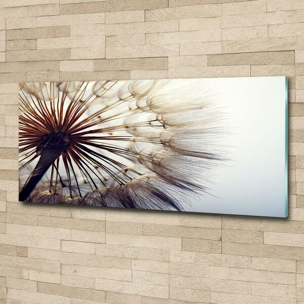 Glass picture wall art Dandelion