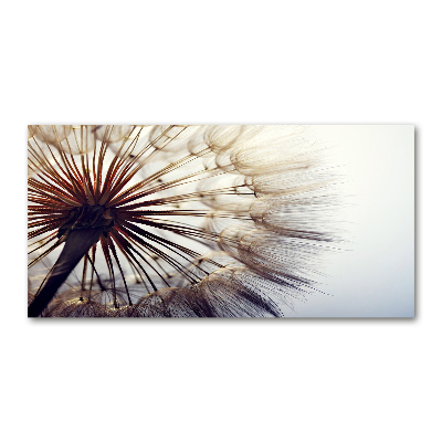 Glass picture wall art Dandelion