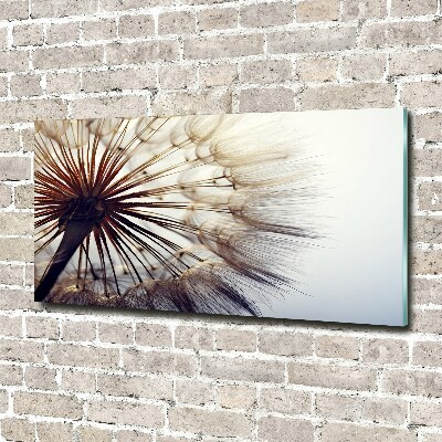 Glass picture wall art Dandelion