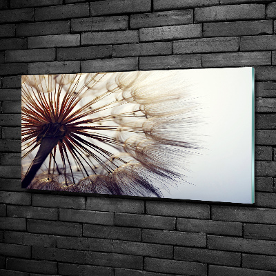 Glass picture wall art Dandelion