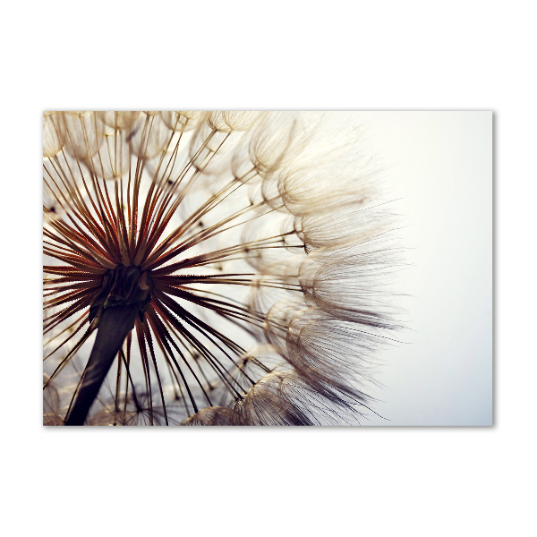 Glass picture wall art Dandelion