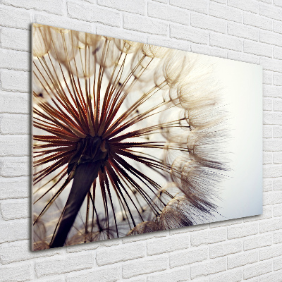 Glass picture wall art Dandelion