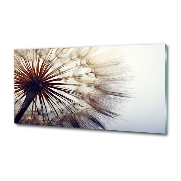 Glass picture wall art Dandelion