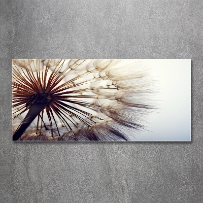 Glass picture wall art Dandelion