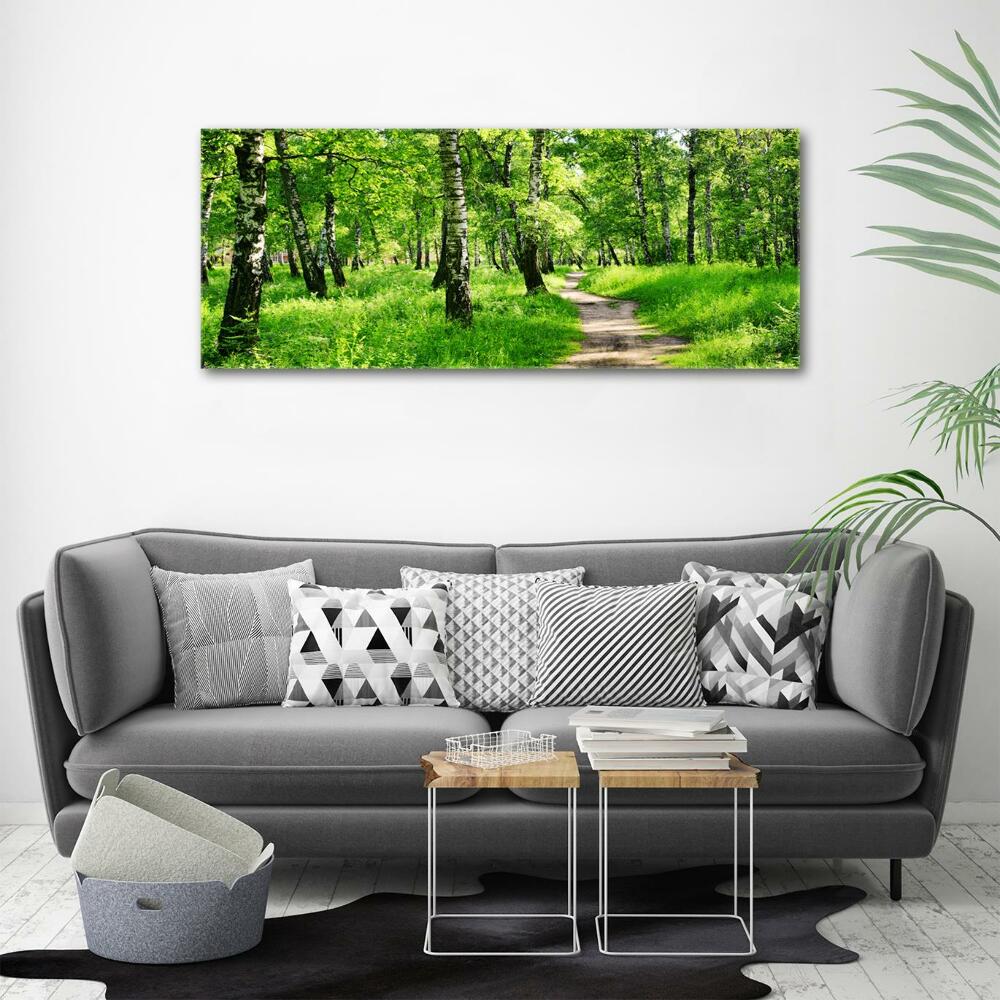 Glass picture print Birch forest