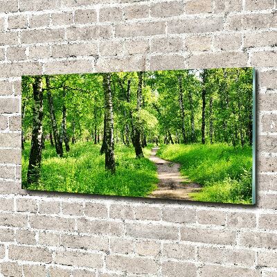 Glass picture print Birch forest