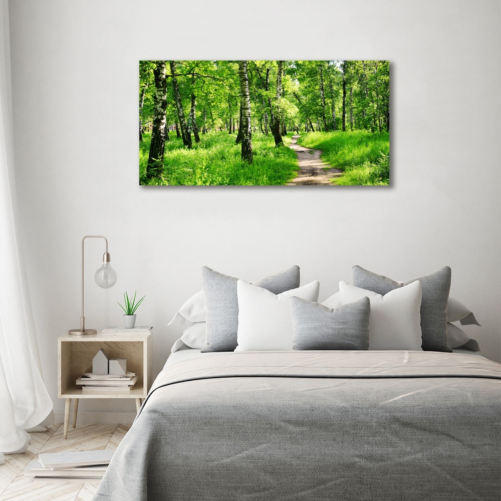 Glass picture print Birch forest