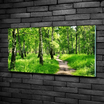 Glass picture print Birch forest