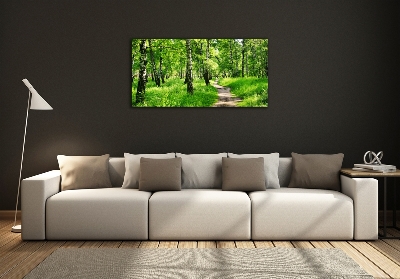 Glass picture print Birch forest